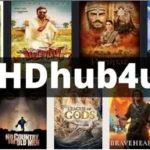 hd4hub com