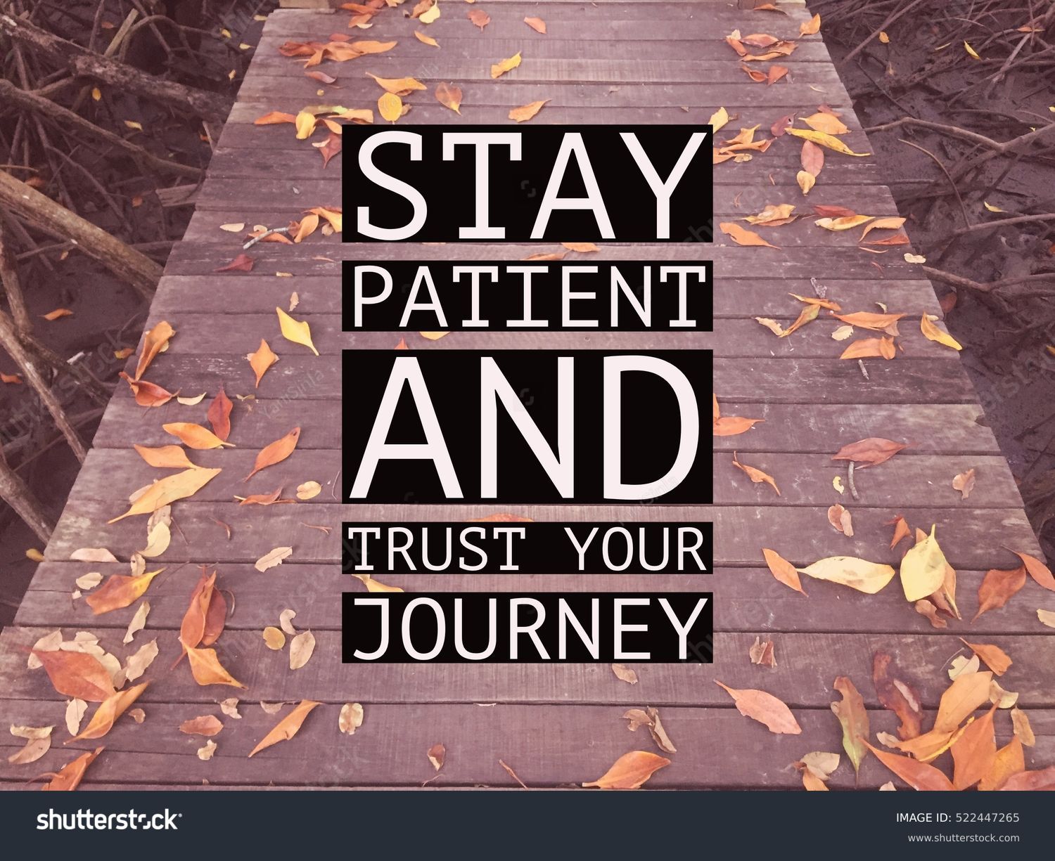 Keep Trusting the Journey: Embrace Every Step of Life